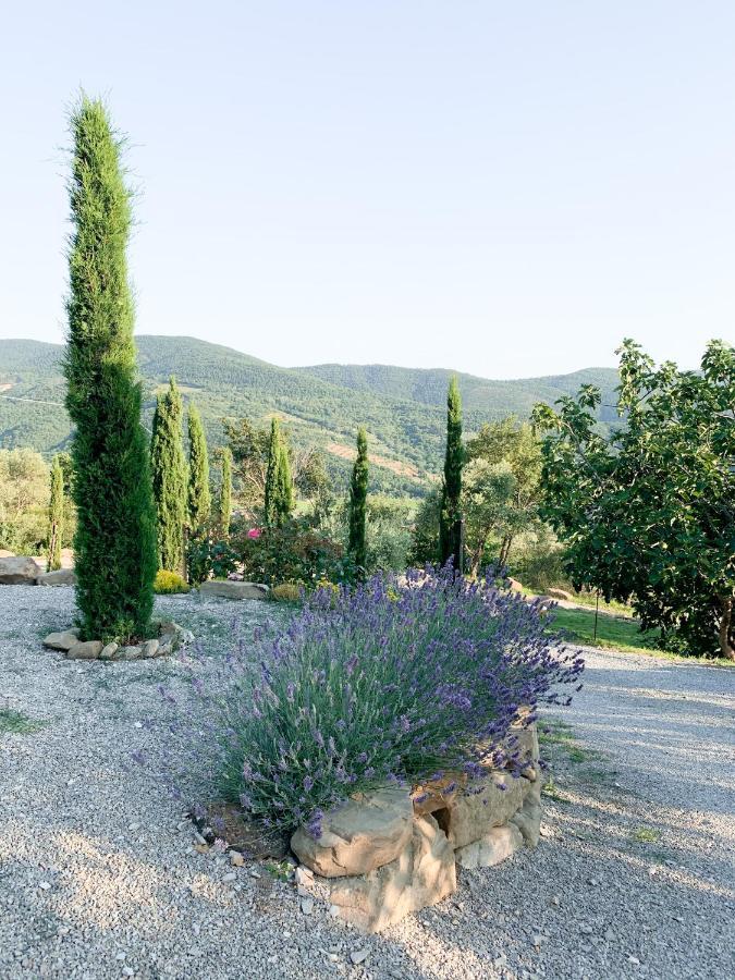 Villa Montanare Cortona Exterior foto
