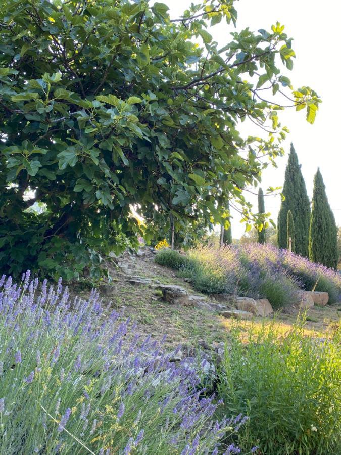 Villa Montanare Cortona Exterior foto