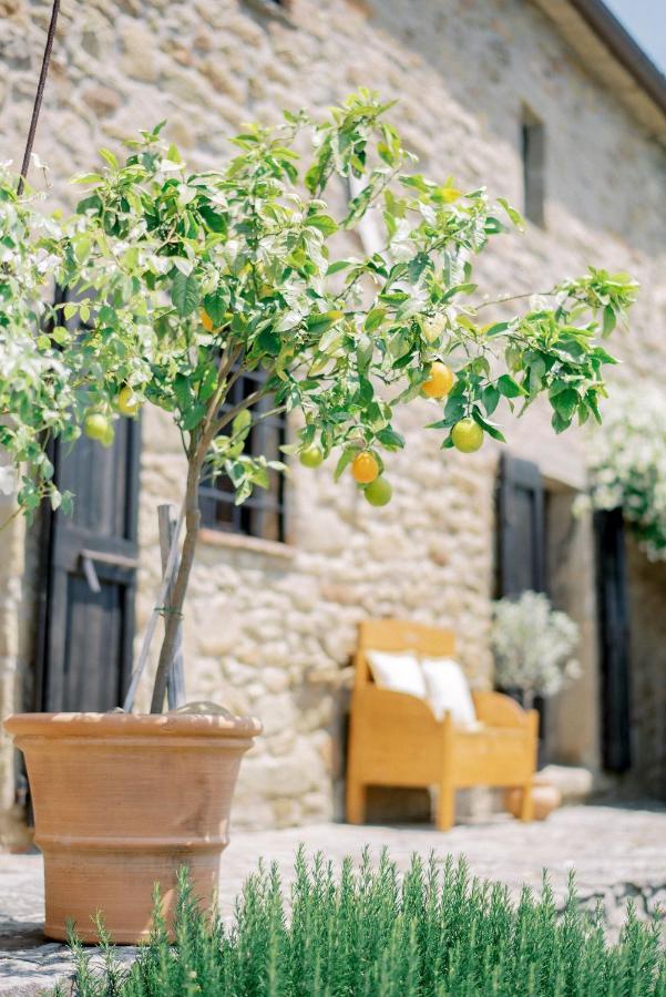 Villa Montanare Cortona Exterior foto